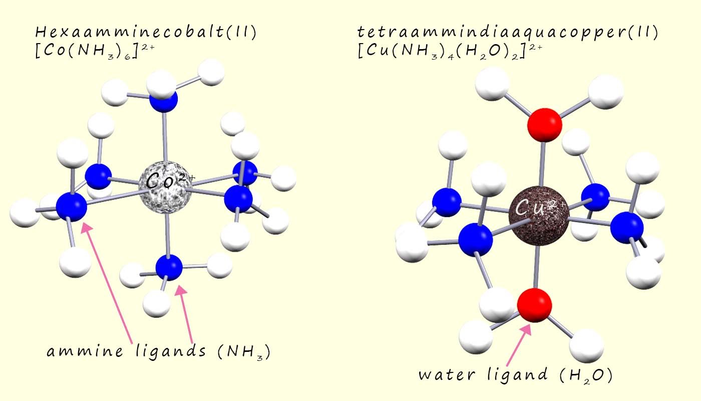 3d models to show the shapes of hexaamminecobalt(II) and tetraamminediaquacopper(II) complexes